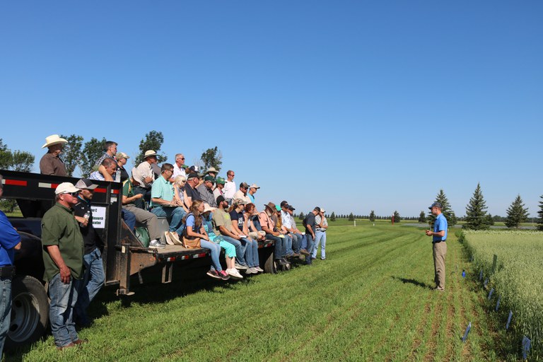 Visitors learn about issues and opportunities in organic agriculture during a field tour at the NDSU Carrington Research Extension Center. (NDSU photo)