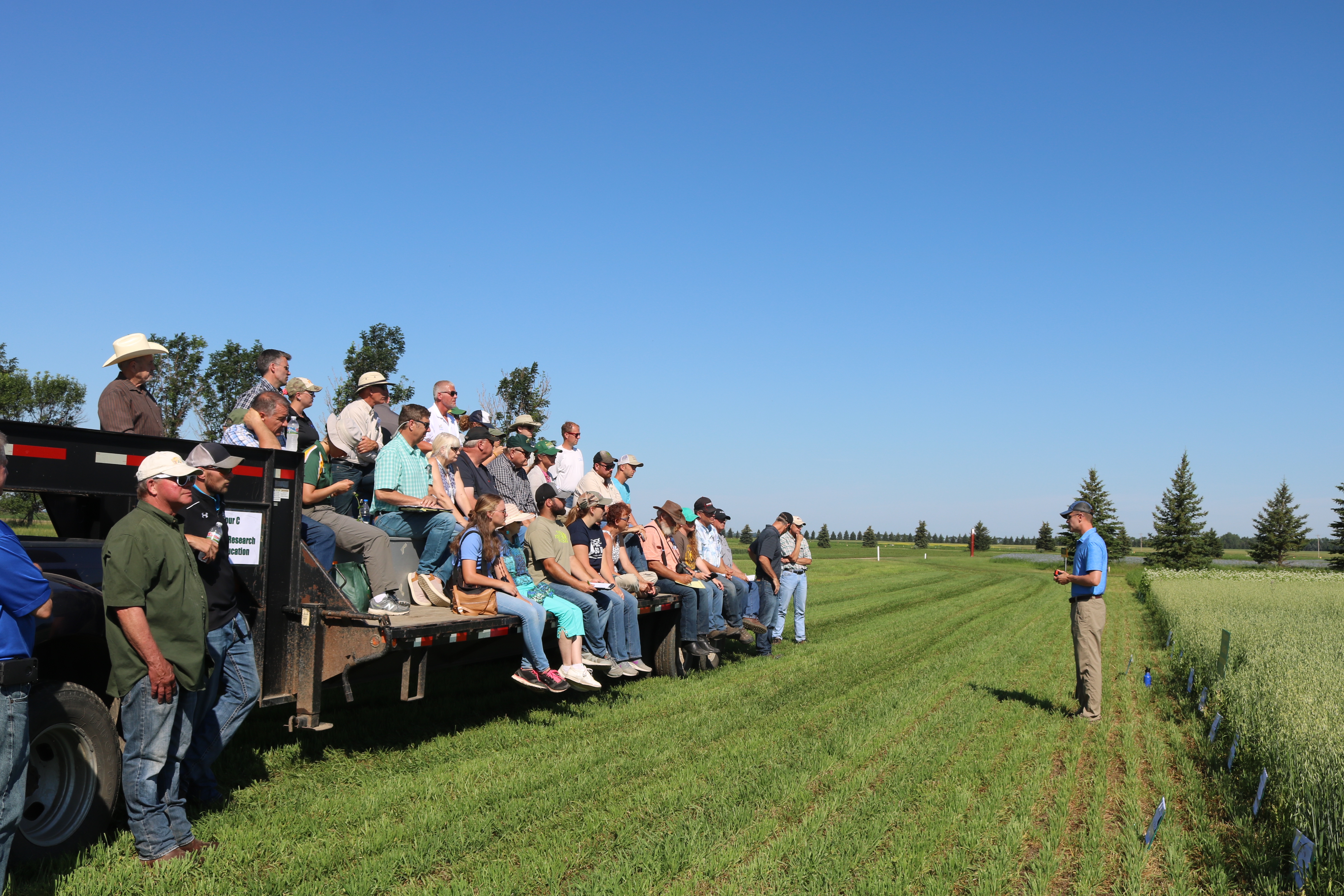 Visitors learn about issues and opportunities in organic agriculture during a field tour at the NDSU Carrington Research Extension Center. (NDSU photo)