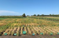 Getting-it-Right is an annual crop production conference featuring the latest research-based production information for a variety of crops presented by NDSU Extension specialists. (NDSU photo)