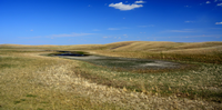 Many surface water sources entered winter at very low levels. (NDSU photo)