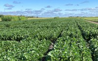 The Getting It Right annual crop production conferences feature the latest research-based production information presented by NDSU specialists. (NDSU photo)