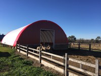 The number and size of animals are important considerations when building or retrofitting a barn for sheep and goats. (NDSU photo)