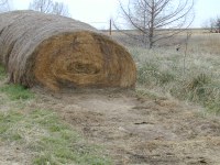 Moisture content at baling is the number one driver of the severity and duration of bale heating. (NDSU photo)