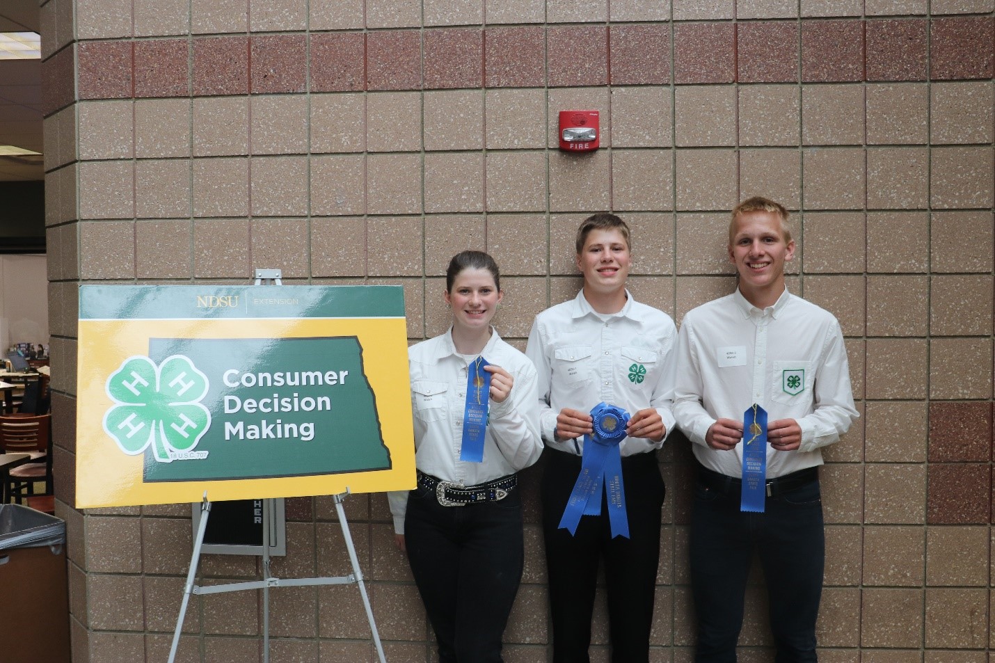 Walsh County placed first in the senior 4-H Consumer Decision Making contest. Team members are (L to R) Hannah Myrdal, Andrew Myrdal and Owen Zikmund. (NDSU photo)