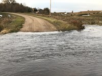 River or overland flooding can cut off access to feed and/or water sources for livestock. (NDSU photo)