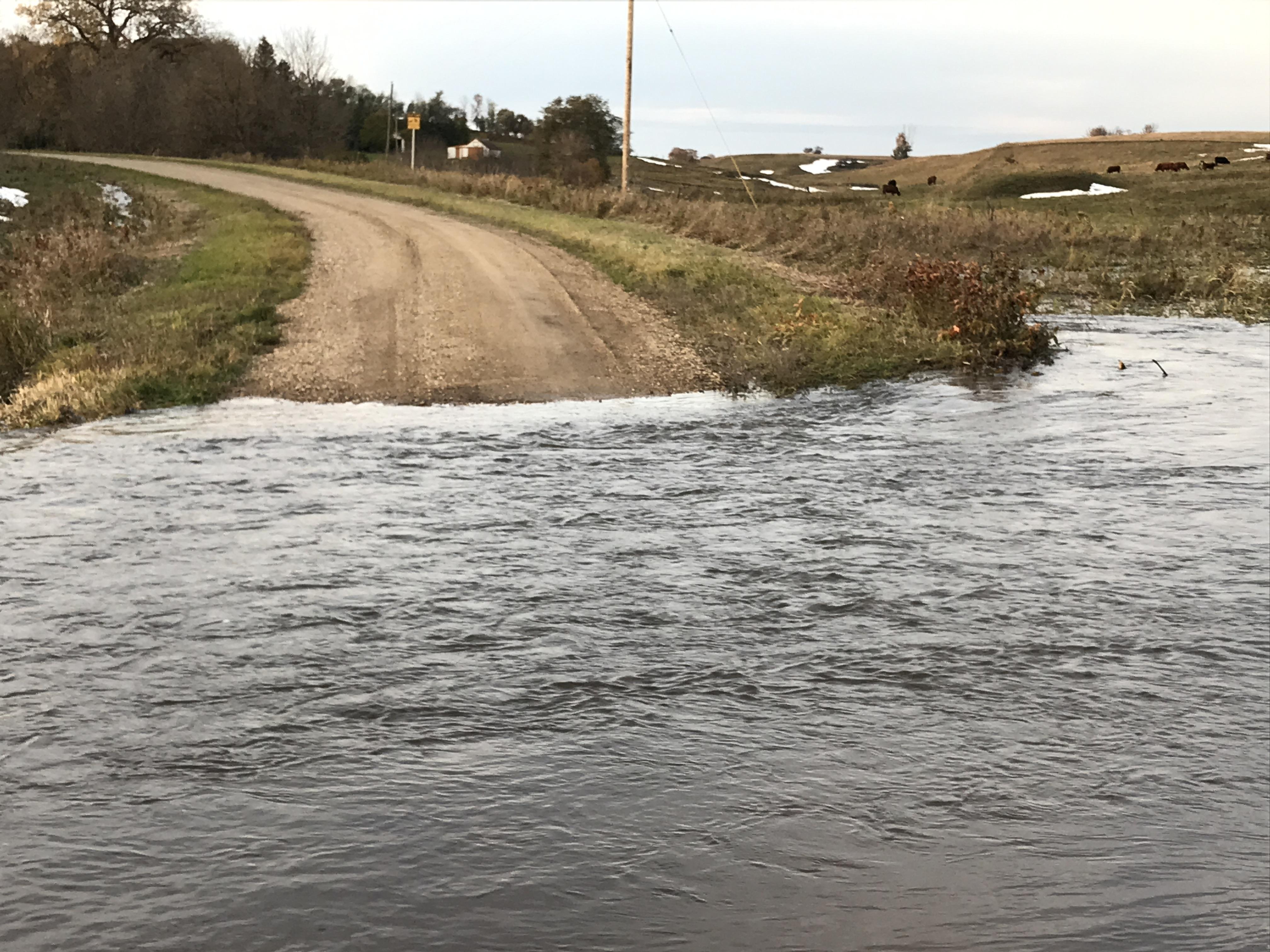 River or overland flooding can cut off access to feed and/or water sources for livestock. (NDSU photo)