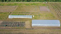 The NDSU Horticulture Research Farm and Arboretum located between Absaraka and Amenia, North Dakota, will be the site of the NDSU Department of Plant Sciences fruit, vegetable and hemp research field day on Sept. 7.