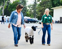 Representative SuAnn Olson of Baldwin receives sheep showmanship tips from Reanna Schmidt, Oliver County 4-H’er, during the North Dakota Leaders 4-H Showmanship Event at the North Dakota State Fair. (NDSU photo)