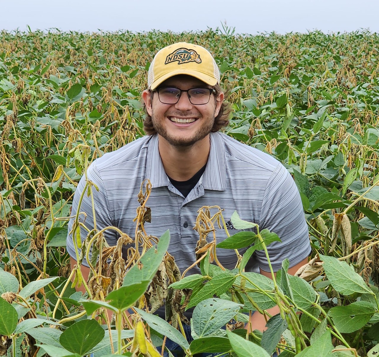Webster joins NDSU Extension as soybean specialist — Extension and Ag