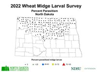 Wheat Midge Larval Survey - Percent Parasitism