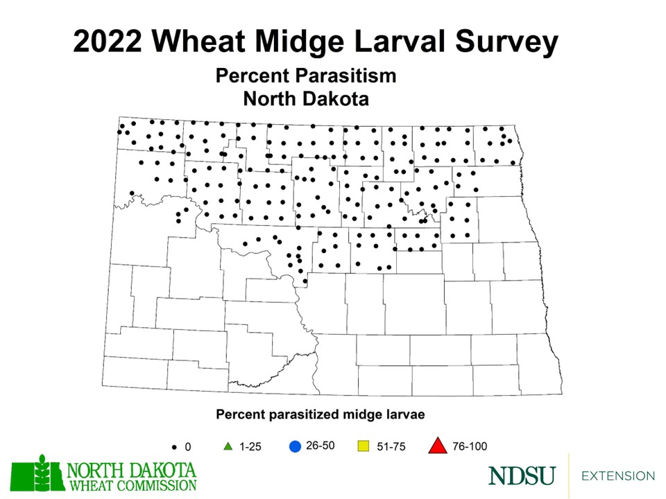 Wheat Midge Larval Survey - Percent Parasitism