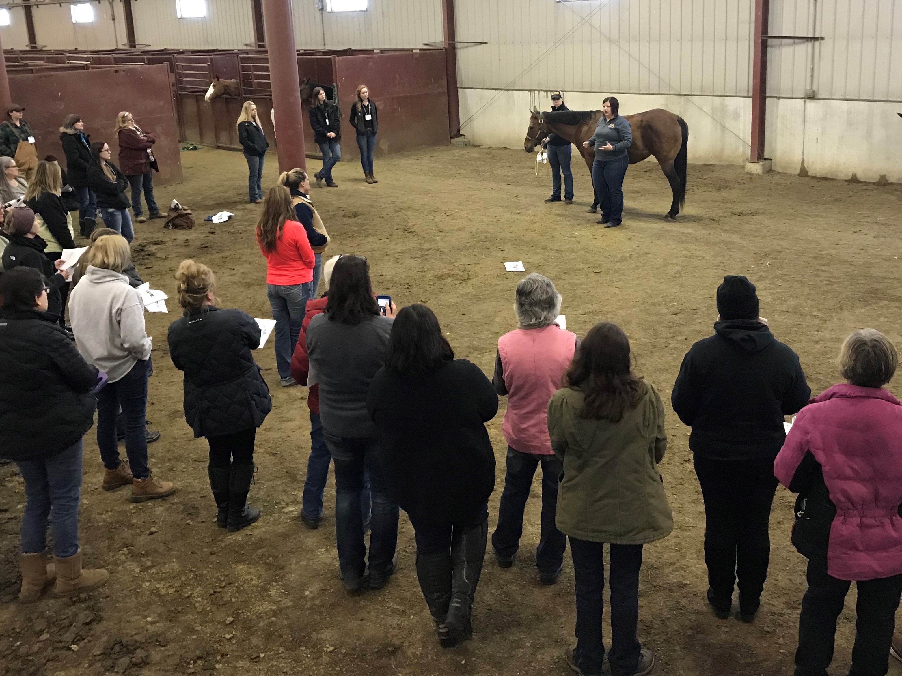 Participants attend the PATH Intl. Region 6 Conference hosted by NDSU Bison Strides and Department of Animal Sciences. (NDSU photo)