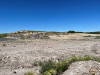 The North Dakota Reclamation Conference brings together industry, government agencies, academia and landowners to discuss effective reclamation strategies. (NDSU photo)