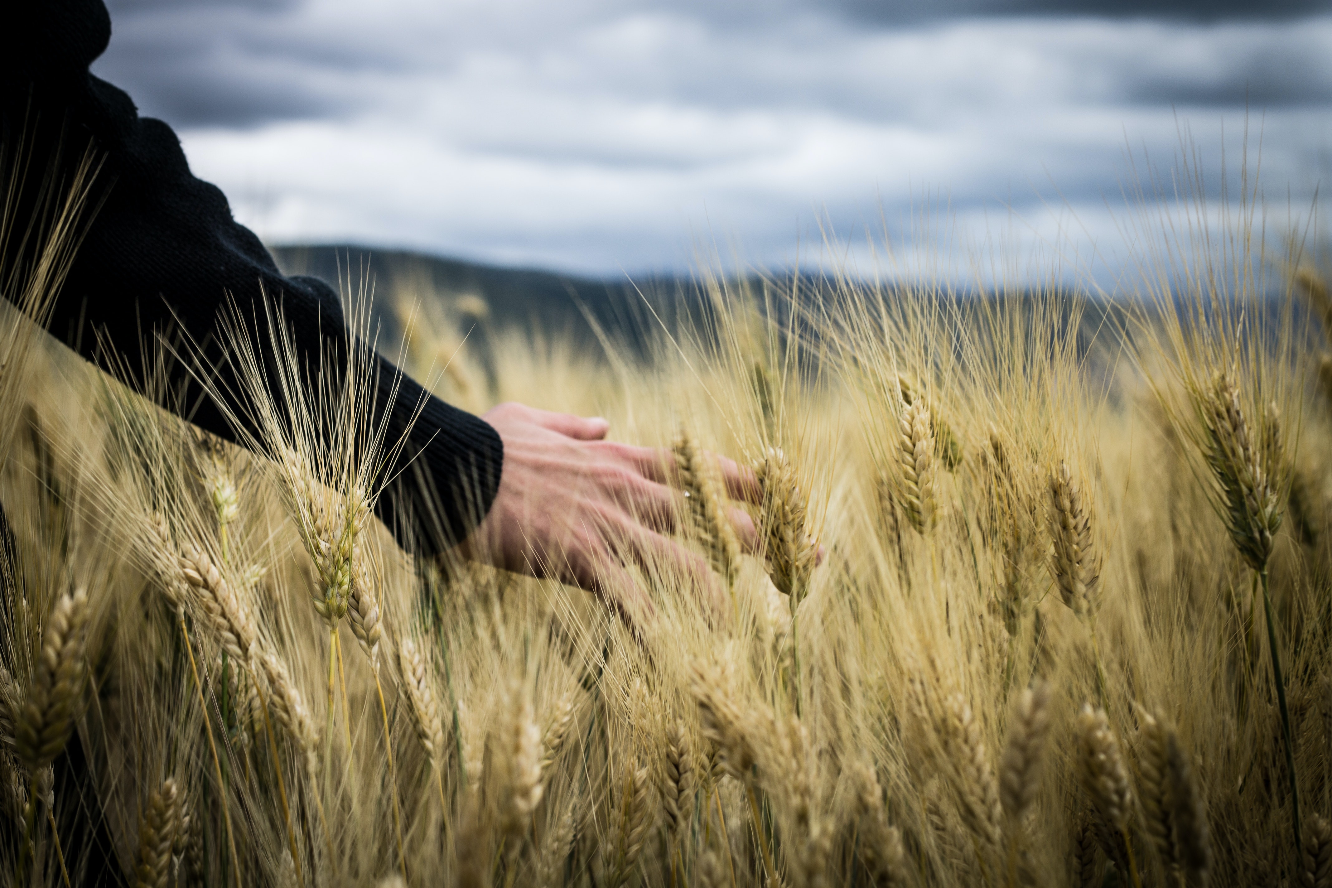 The Adult Mental Health First Aid program will give participants information about signs of mental health concerns and how to respond effectively. (Pexels photo)