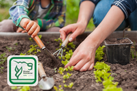 Several Master Gardener volunteers were honored during the recent North Dakota State University Extension Master Gardener program awards ceremony. (NDSU photo)