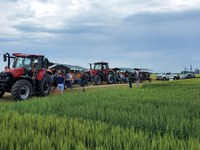 Wheat, soybeans, crop diseases and pests, and weed management are among the topics for the annual field tour set for July 17 at the NDSU Agronomy Seed Farm. (NDSU photo)