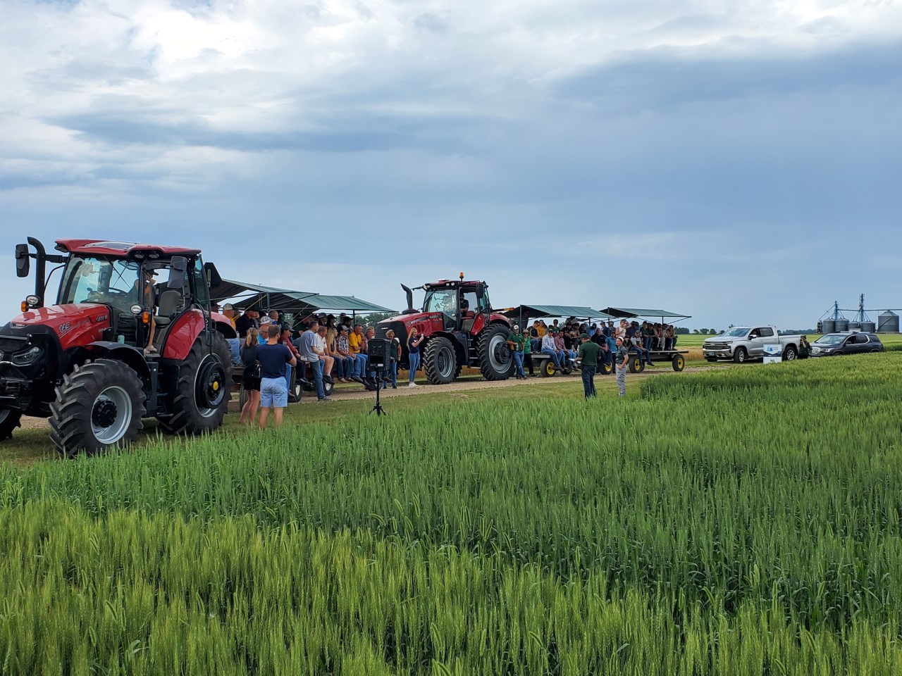 Wheat, soybeans, crop diseases and pests, and weed management are among the topics for the annual field tour set for July 17 at the NDSU Agronomy Seed Farm. (NDSU photo)