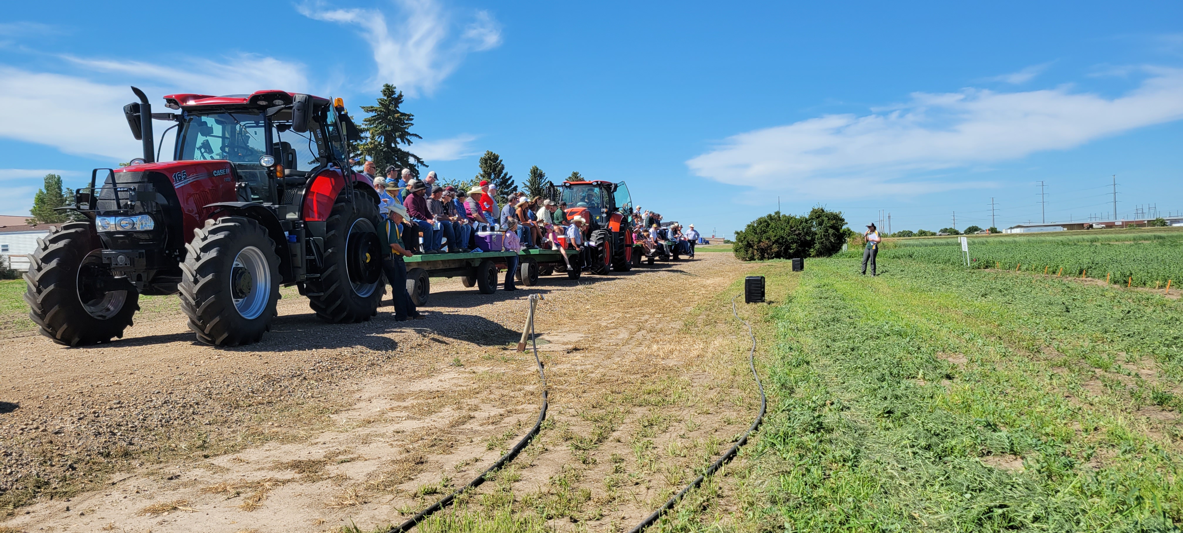 The WREC field days will offer opportunities to learn about the latest research in dryland agronomy, horticulture and irrigation topics. (NDSU photo)