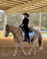 NDSU junior Audrey Miller represented NDSU in the team competition in rookie horsemanship, placing 3rd. (NDSU photo)
