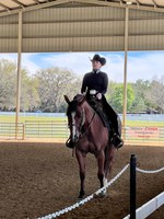 NDSU sophomore Haley Maro represented NDSU in the team competition in ranch riding and level II horsemanship, placing 3rd and 7th, respectively. (NDSU photo)