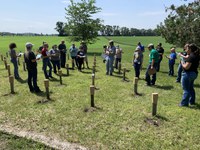 Crop advisers and farmers identify living weed exhibits at NDSU Extension Crop Management Field School. (NDSU Photo)