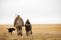 Biosecurity practices can help hunters reduce the risk of transmitting HPAI from wild birds to domestic flocks. (North Dakota Tourism photo)