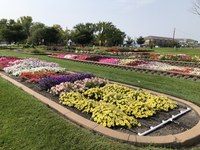 The Master Gardener program trains and empowers volunteers to teach others how to garden, conserve natural resources such as pollinators, beautify communities and be leaders. (NDSU photo)