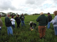 The field day will focus on the benefits of establishing alfalfa and other legumes in an intercropping system along with new options for managing erodible and saline soils. (NDSU photo)