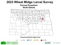 2023 Wheat Midge Larval Survey Map - Percent Parasitism (NDSU photo)