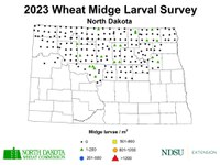 2023 Wheat Midge Larval Survey Map (NDSU photo)