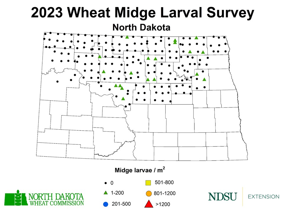 2023 Wheat Midge Larval Survey Map (NDSU photo)