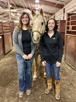 NDSU Bison Strides program assistant Jessie Moe, quarter horse Cutter and associate program director Emily Dilliard win awards from PATH International for their work in equine assisted services. (NDSU photo)