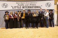 Morgan Friede, an NDSU freshman from Chinook, Montana, was named overall showman at the 98th Little International hosted by NDSU's Saddle and Sirloin Club. (NDSU photo)