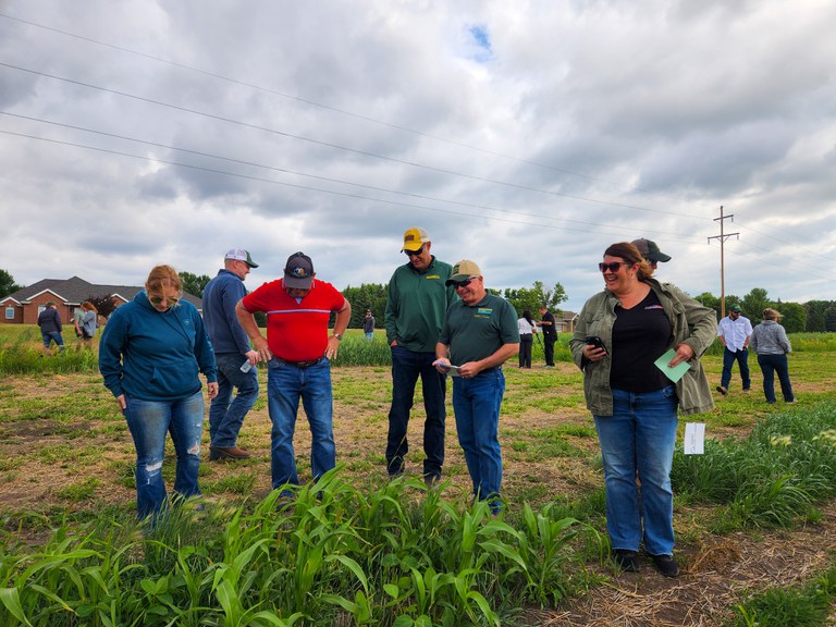 Topics for the NDSU North Central Research Extension Center field day include cover crops, forage production, insect issues, weed control and agricultural technologies. (NDSU photo)