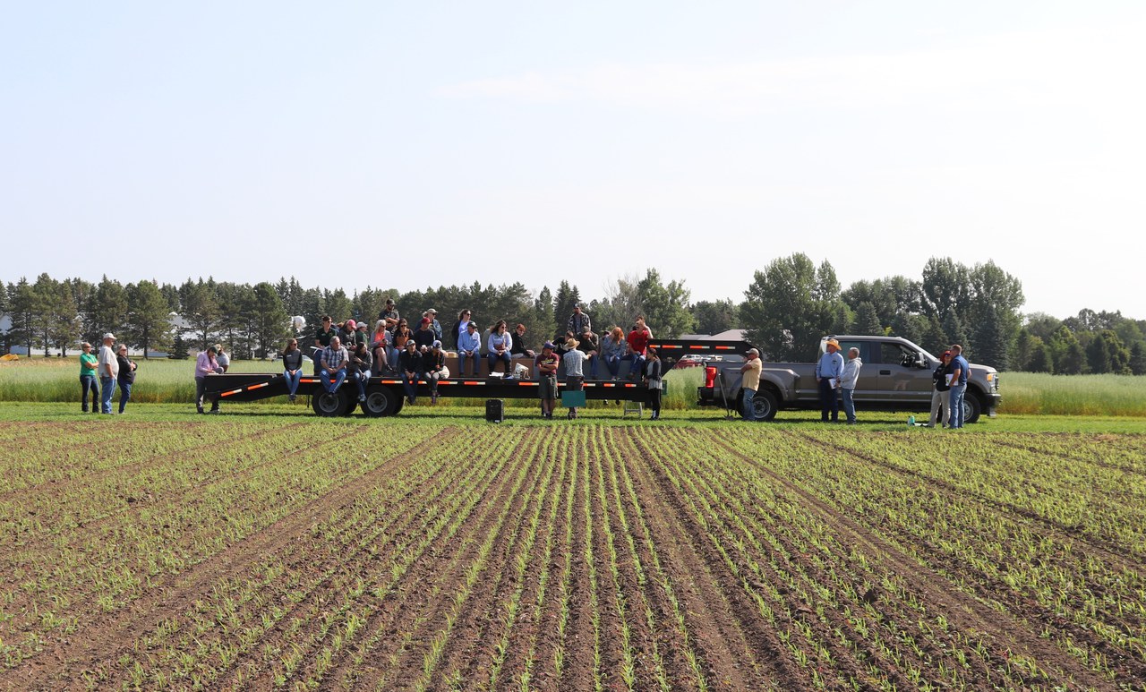 NDSU Carrington Research Extension Center Field Day offers variety of