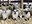 North Dakota State University Extension will welcome lamb and wool enthusiasts to Fargo, North Dakota to the social and educational event. (NDSU photo)