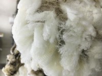 Some of the topics that will be covered during the wool classing school include hands-on wool grading, proper wool handling techniques, and wool classing, packaging, labeling and marking. (NDSU photo)