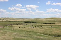 The 2025 Livestock Fencing School will be divided into morning classroom instruction and an afternoon of hands-on demonstrations. (NDSU photo)