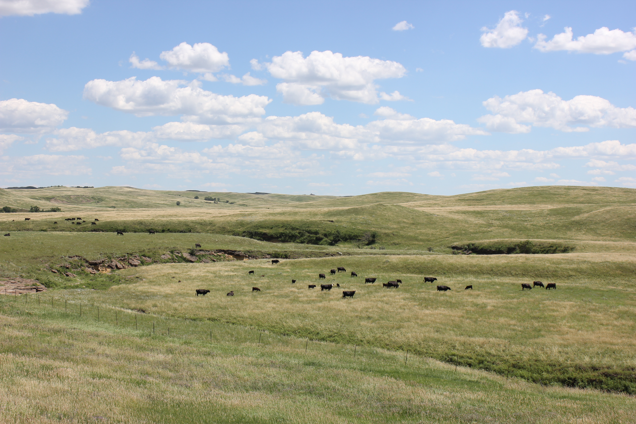The 2025 Livestock Fencing School will be divided into morning classroom instruction and an afternoon of hands-on demonstrations. (NDSU photo)