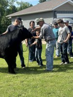 Youth will rotate through species-specific workshops led by NDSU Extension agents and local agricultural experts at the From Barn to Ring: Developing Skills for Every Species camp. (NDSU photo)