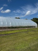 The field day will include presentations on caterpillar tunnel grapes, high-tunnel grafted tomatoes, apples for fresh eating and hard ciders, organic weed control research and more.  (NDSU photo)