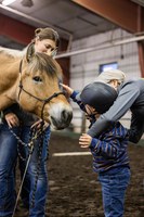 Bison Strides partners veterans and individuals with disabilities and horses to build strength, resiliency and independence. (NDSU photo)