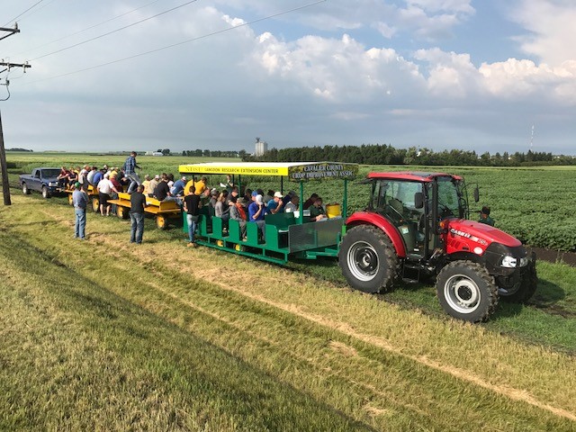 Disease management information, updates on new hard red spring wheat varieties and a look at the new NDSU Extension Soil Health Express educational trailer will highlight the LREC field day activities. (NDSU photo)