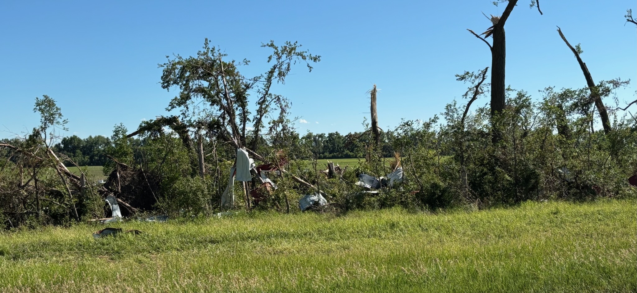 Building debris that has blown into pastures or hay fields may increase the risk of hardware disease. (NDSU photo)