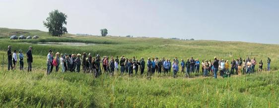 Participants can see the latest integrated grazing on cropping systems at sessions and tours at the 2025 NDSU Central Grasslands Research Extension Center Field Day. (NDSU photo)