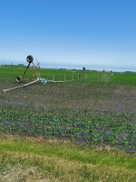 Safety is always the top priority while examining a storm-damaged irrigation system. (NDSU photo)