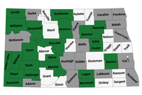 Counties in green contain at least one population of kochia with genetically confirmed resistance to Groups 2, 9, and 14 herbicides. Gray counties are those that submitted samples, but did not have resistance to all three herbicide groups. (Photo source: Zack Bateson, Research Director, National Agricultural Genotyping Center)