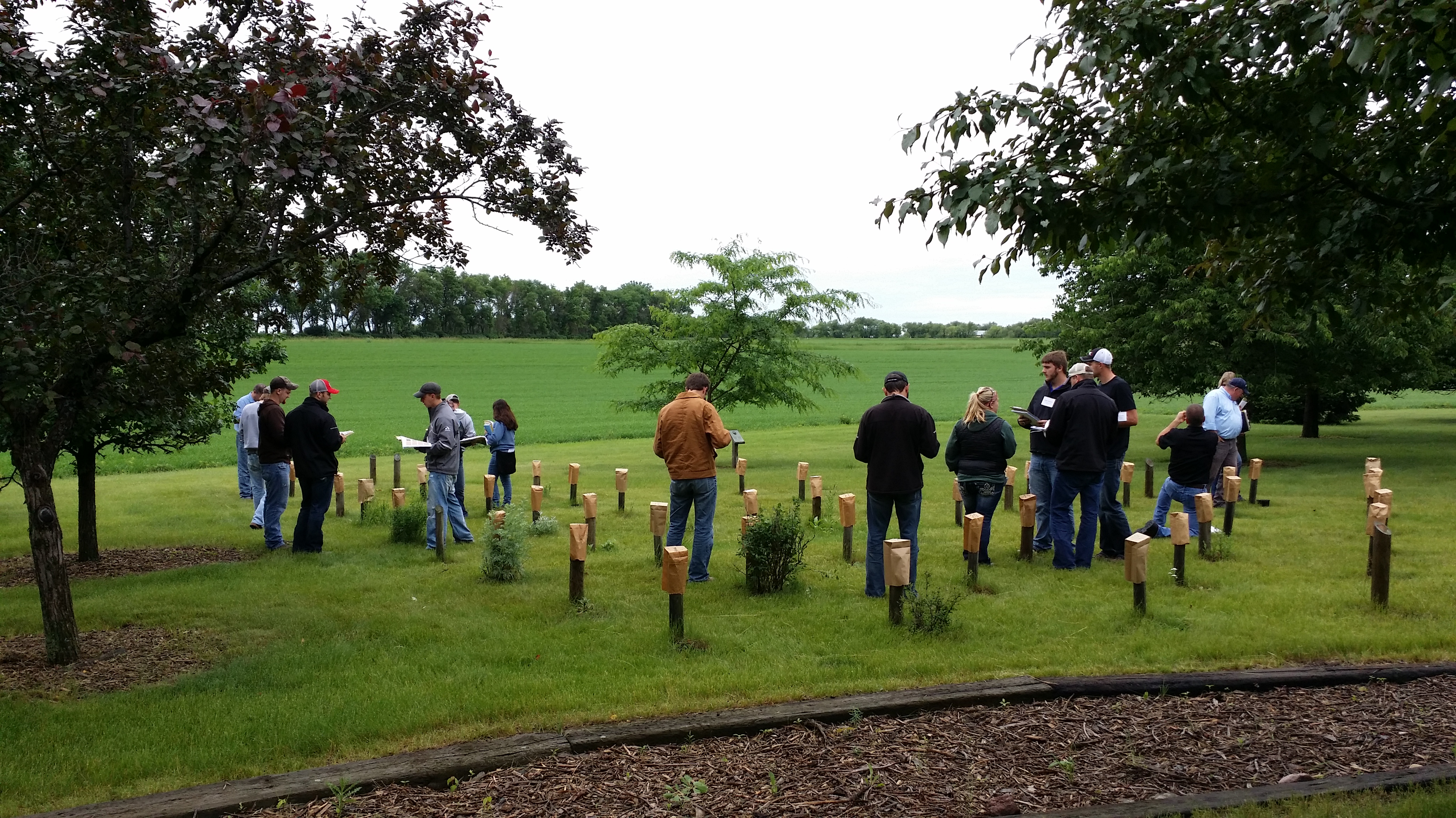 The crop management field school is aimed at crop consultants, agronomists, agribusiness representatives, Extension agents and farmers. (NDSU photo)