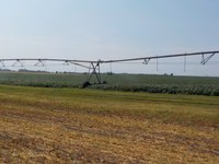 Winter snowstorms and prolonged downtime may have caused some damage to an irrigation system, so it's important to inspect. (photo by Dean Steele)