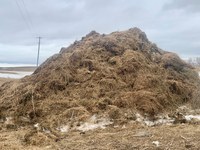 The Dec. 10 horse management webinar will feature a discussion on managing manure in the winter. (NDSU photo)